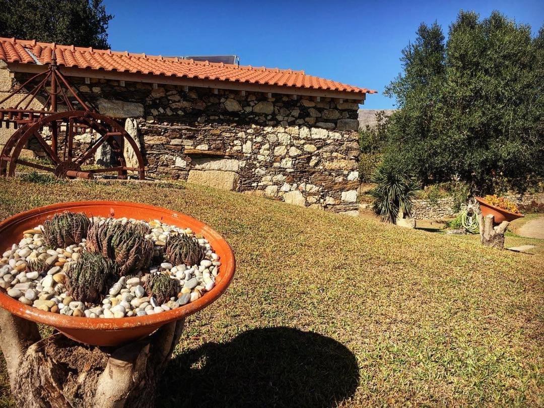Quinta Do Fortunato Viana do Castelo Zewnętrze zdjęcie